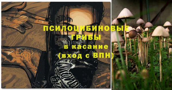 соль ск Алзамай