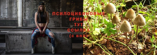 соль ск Алзамай
