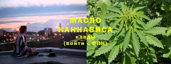 соль ск Алзамай